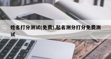 姓名打分测试(免费),起名测分打分免费测试