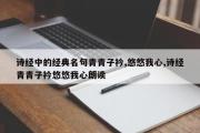 诗经中的经典名句青青子衿,悠悠我心,诗经青青子衿悠悠我心朗读