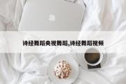 诗经舞蹈央视舞蹈,诗经舞蹈视频
